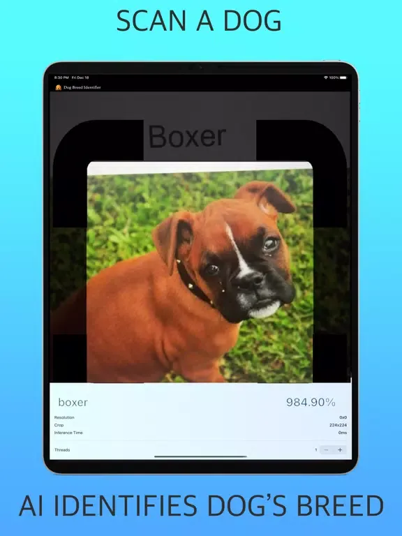Dog Breed Identifier AI iPad  Screenshots